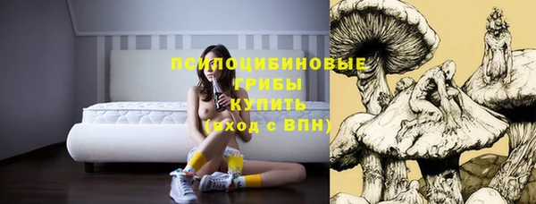 mdma Медвежьегорск