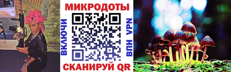 цены   Шахунья  Галлюциногенные грибы GOLDEN TEACHER 